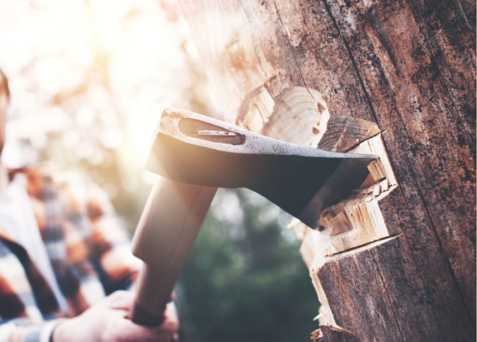 Close-up of an axe striking a tree, symbolizing the difference between scattered marketing activity and focused strategy.